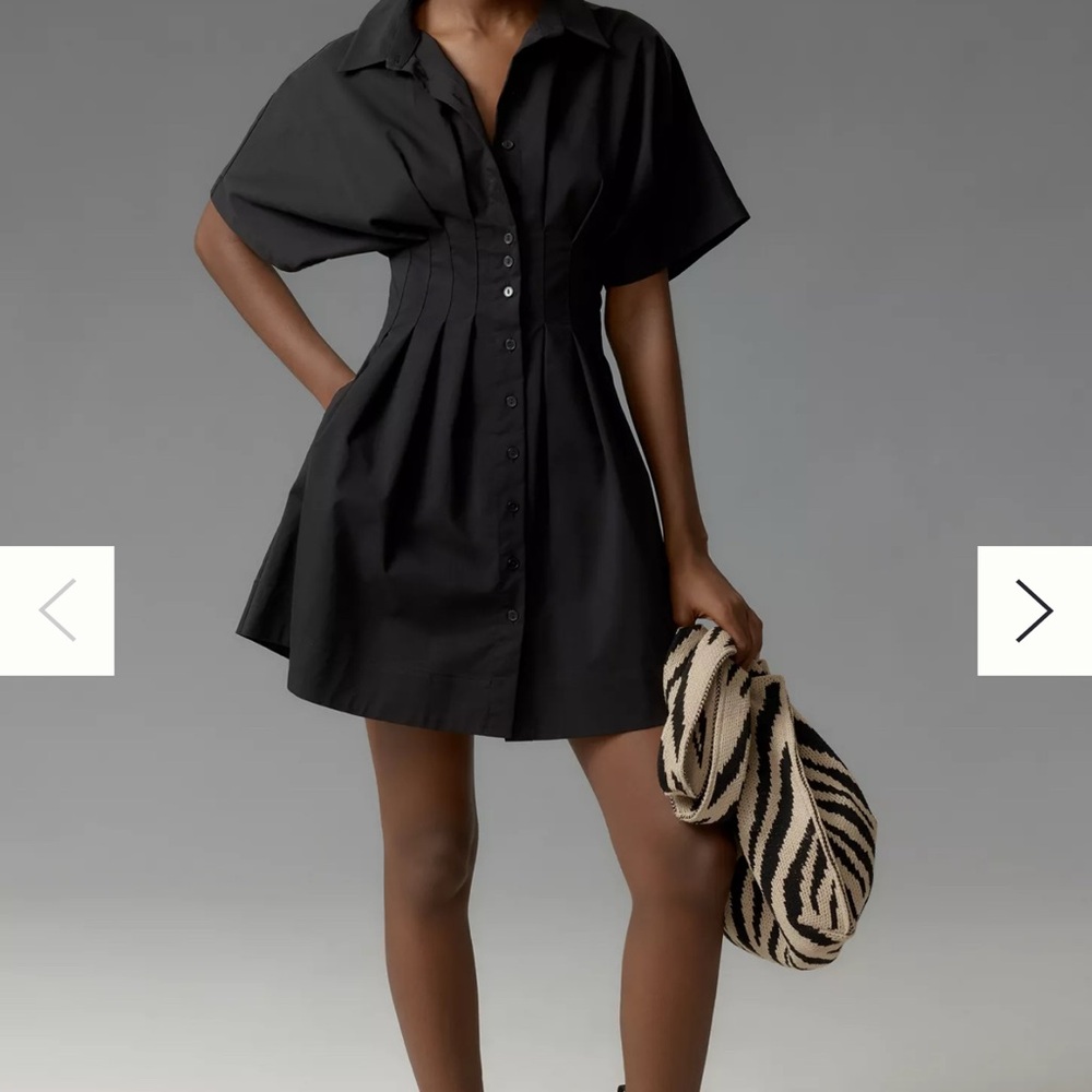 The Tobie Button-Front Pleated Shirt Mini Dress